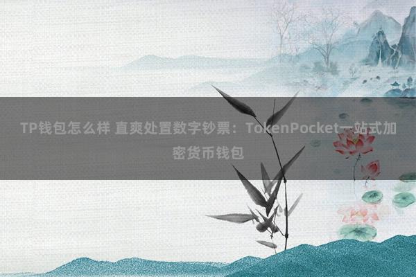 TP钱包怎么样 直爽处置数字钞票：TokenPocket一站式加密货币钱包