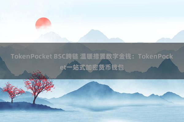 TokenPocket BSC跨链 温暖措置数字金钱：TokenPocket一站式加密货币钱包