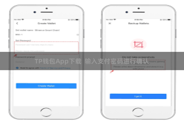 TP钱包App下载  输入支付密码进行确认